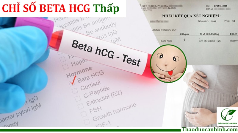 Chỉ số beta hCG xuống thấp báo hiệu tình trạng thai yếu của mẹ bầu - Thảo Dược An Bình