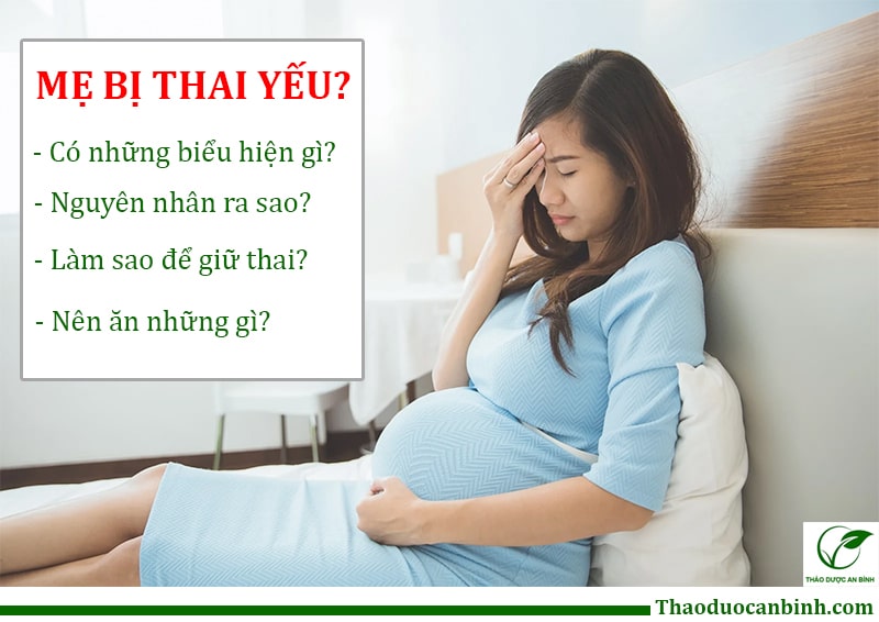 Khi bị thai yếu mẹ bầu sẽ có dấu hiệu gì? Mẹ bầu nên ăn gì và điều trị ra sao để (GIỮ THAI)?